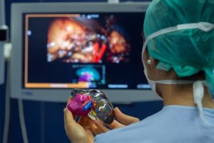 kidney Specialist2